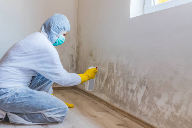 Licensed Mold Inspection And Testing service in Vienna, VA - Mold Remediation HQ